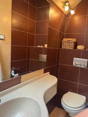 a bathroom with a toilet and a sink and a tub at Dům Amelia s vyhřívaným bazénem in Miřetice