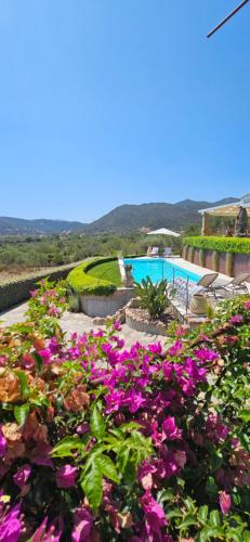 a bunch of flowers in front of a swimming pool at Cuccumiao's An Owls' quiet nest! in Loiri