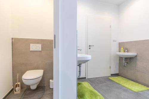 a bathroom with a toilet and a sink at Wohnung für 8 Personen in ehemaligem Weingut mit 4 Schlafzimmern in Rommersheim