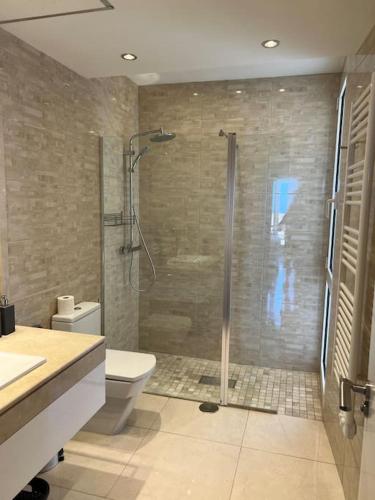 marbella center penthouse