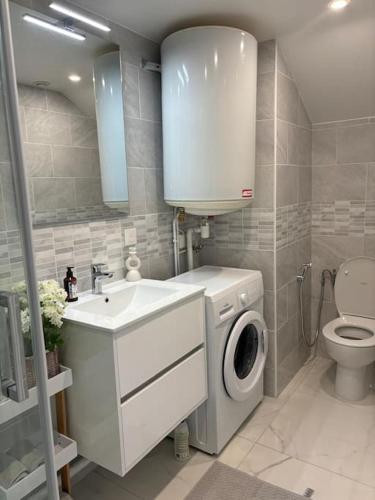 une salle de bain avec un lavabo et une machine à laver dans l'établissement Le petit moret, à Joinville-le-Pont