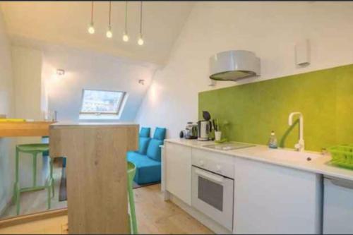 - une cuisine avec des murs verts, un évier et un comptoir dans l'établissement le duplex de Notre Dame, à Annecy