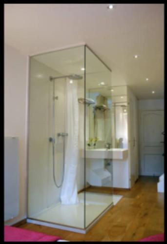 une douche en verre dans une salle de bain avec un lavabo dans l'établissement le duplex de Notre Dame, à Annecy