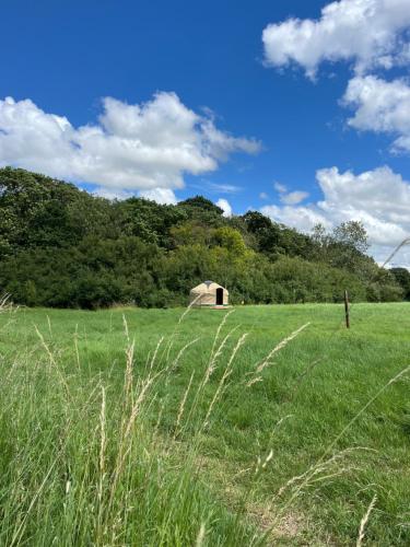 a green field with a barn in the distance at Nordic Glamping at Botswicky - a nature based retreat in Bishopstone