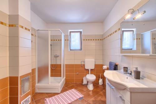 a bathroom with a shower and a toilet and a sink at Holiday Home Tisa in Rudanovac