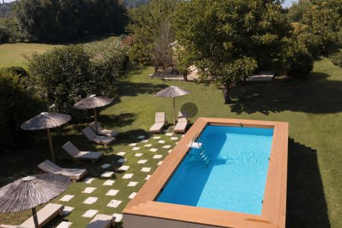 an overhead view of a swimming pool with chairs and umbrellas at Erifili Apartments in Sidari