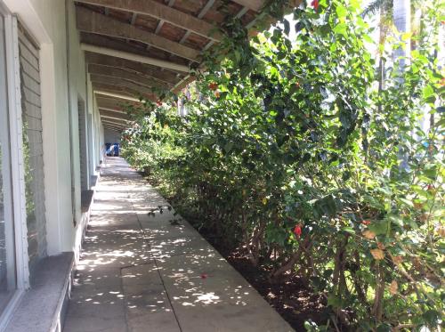 a building with a walkway with plants on it at Hotel Y Parque Acuático La Caldera in Abasolo