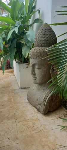 Φωτογραφία από το άλμπουμ του Villa mimosa σε La Rivière