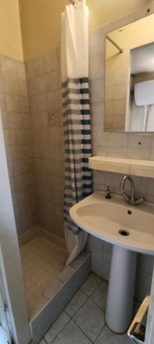 une salle de bain avec un lavabo et une douche dans l'établissement Studio des poetes, à Béziers