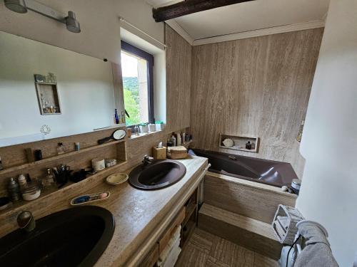 une salle de bain avec un lavabo et un grand miroir dans l'établissement Superbe Mas Provençal avec piscine au pied de Gordes, à Gordes