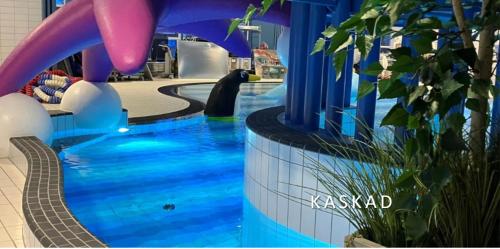a pool with a penguin in a water park at Haby House in Skene