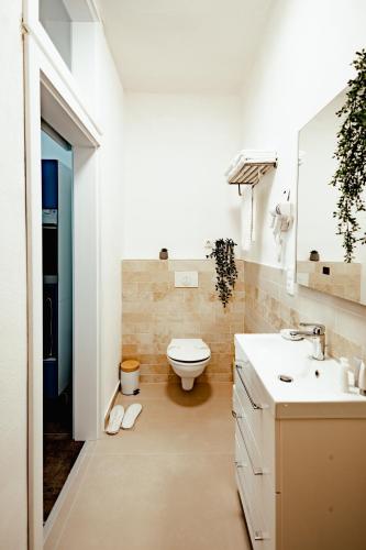 a bathroom with a toilet and a sink at Casa Leonhardt in Sighişoara