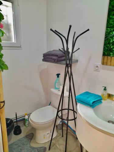 a bathroom with a white toilet and a sink at Appartement indépendant a Carcassonne in Carcassonne
