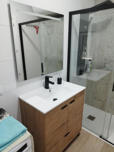 a bathroom with a sink and a shower at Clauro24 in Ciudad Real