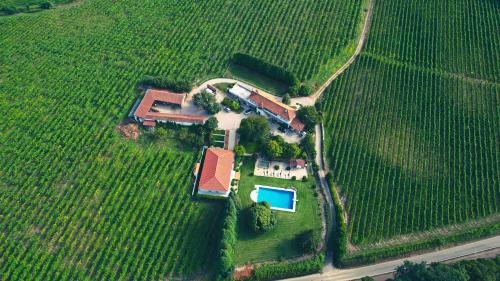 an aerial view of a house in a field at Quinta das Vianas - Casas do Picadeiro in Monção