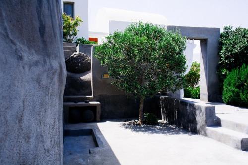 a tree in the courtyard of a building at 270 Oias View in Oia
