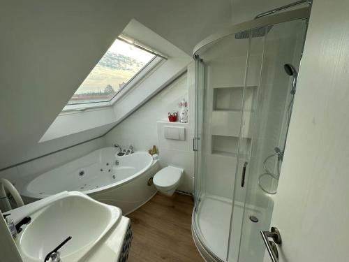 a bathroom with a sink and a shower and a toilet at Helles, modernes Appartement in Nuremberg