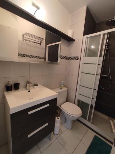 une salle de bain avec toilettes, lavabo et douche dans l'établissement Charmant appartement, Terrasse, Piscine, parking, à Mougins