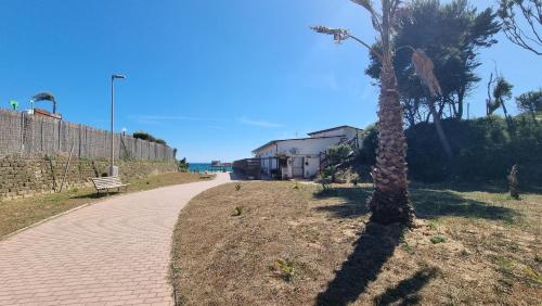 a palm tree sitting next to a brick sidewalk at CAMERA SUL MARE con OMBRELLONE in Lido Di Fondi