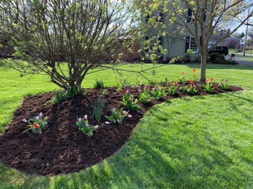 a flower bed with flowers in a yard at Antique Charm Cozy 3br Retreat W Private Patio in Kettering