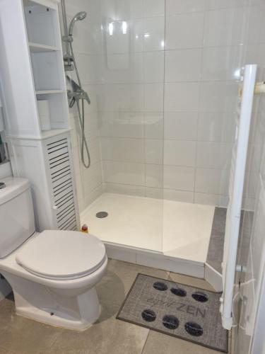 une salle de bain blanche avec douche et toilettes dans l'établissement Nid d'amour, à Bastia