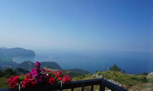 a bunch of flowers sitting on a fence at Hill Homes Montenegro in Petrovac na Moru