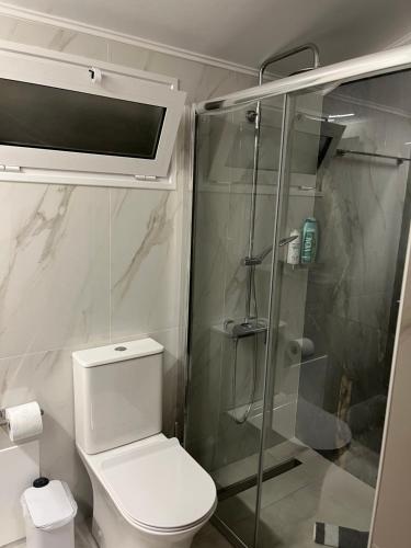 un bagno con wc e doccia in vetro di GREENHOUSE maleme ad Ayiá