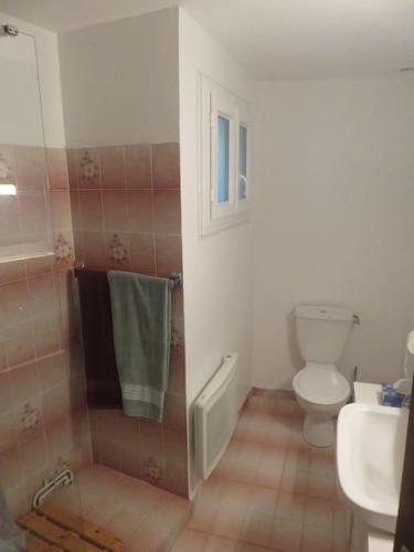 une salle de bain avec toilettes, lavabo et douche dans l'établissement Calme et tranquillité en Vallée d'Ossau, à Bilhères en Ossau