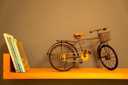 a bike on a shelf next to two books at Lavandas de Cunha Pousada Boutique in Cunha