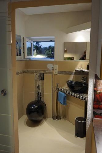 a bathroom with a large black bowl on the floor at Eva und Wolf Apartments in Sachsenheim