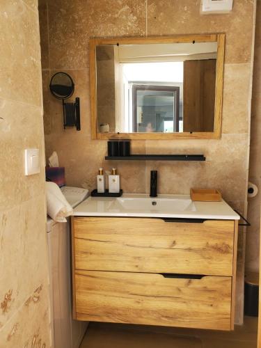 a bathroom with a sink and a mirror at annecy poisy Studio a 9 minutes du lac Annecy in Poisy