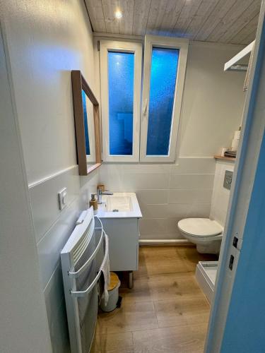 La salle de bains est pourvue d'un lavabo, de toilettes et de 2 fenêtres. dans l'établissement Charmant studio, à Hyères