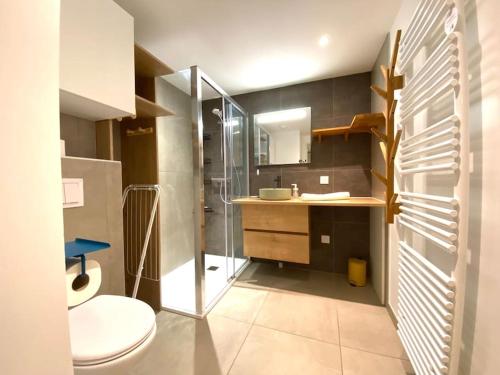 une salle de bain avec toilettes, lavabo et douche dans l'établissement Astoria - parking, vélos, jardin et terrasse, à Annecy