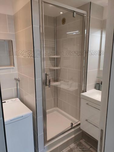 une salle de bain avec une douche avec des toilettes et un lavabo dans l'établissement Location d'appartements 47 m, à Paris