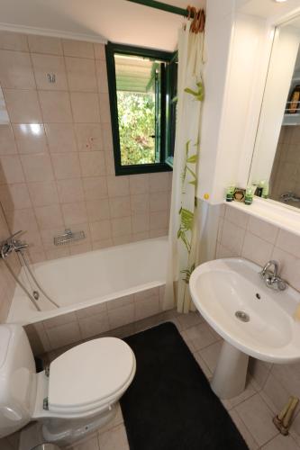 a bathroom with a white toilet and a sink at Zorbas Suites in Hersonissos