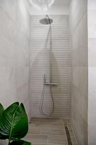a shower in a bathroom with a plant at Olivea's House in Corfu