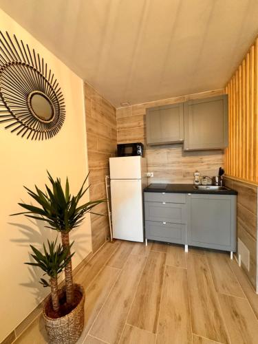 une petite cuisine avec un réfrigérateur et une plante dans l'établissement Les Appartements De Lina -Studio Maya 5 - Self Check-In -, à La Grande Motte