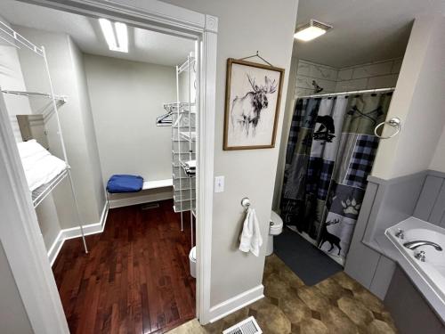 a bathroom with a shower and a toilet and a sink at Pet Friendly Fire Pit, Movie Theater, Pool, Sauna in Sevierville