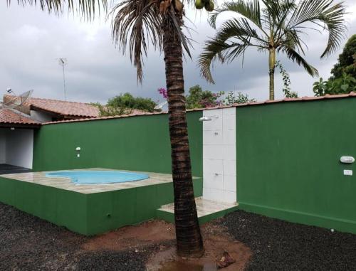 a palm tree next to a green wall with a palm tree at Casa com pisina infantil em Brotas in Brotas