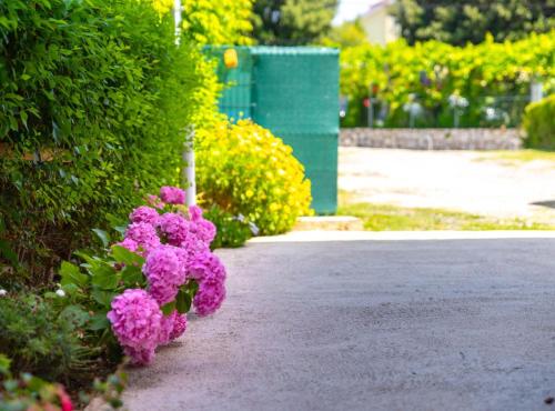 a bunch of purple flowers in a garden at Apartmani Sabbioso in Lopar
