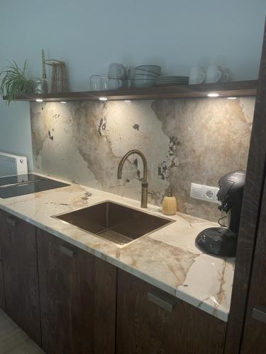 a kitchen with a sink and a counter top at Twisterhof, appartement Anna, in Sustrum