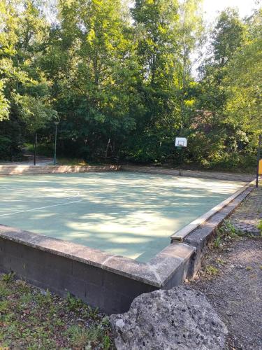 a basketball court in a park with trees at Sunclass Durbuy Chalet 98 Woody in Durbuy