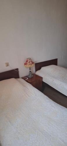 two beds in a room with a lamp on a table at Villa Alisubani in Tʼerjola
