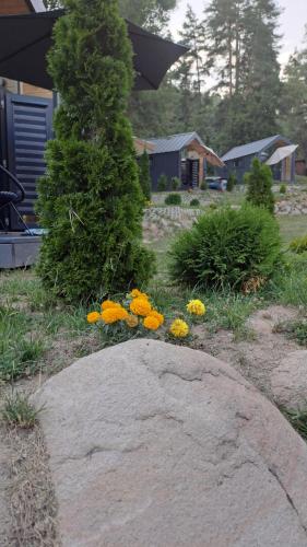 a garden with a rock and flowers in a yard at Saint Constantine Mountain Retreat in Peshtera
