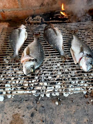 a group of fish cooking on a grill at Relax house Aurora in Jasenovica
