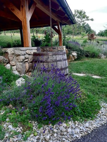 a garden with purple flowers next to a stone wall at Relax house Aurora in Jasenovica