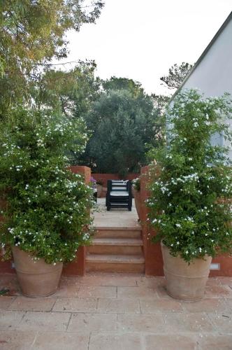 a stairway with two large potted trees and a bench at Masseria Montelauro in Otranto