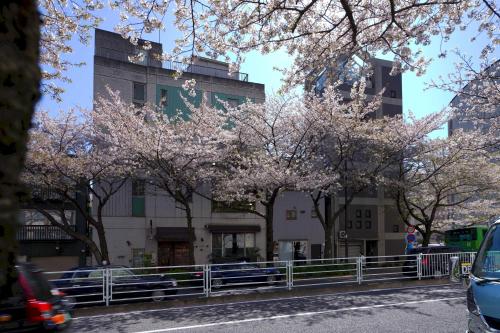 Penthouse 1-bedroom flat in Hiroo Shibuya
