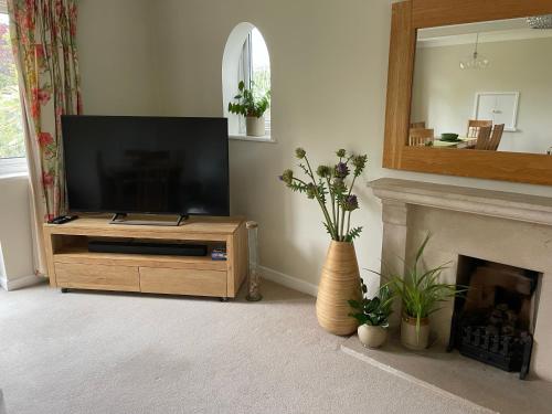 a living room with a television and a fireplace at Charming Bournemouth house with beautiful spacious gardens, 5 min drive to beaches, free parking for 2-3 cars in Bournemouth