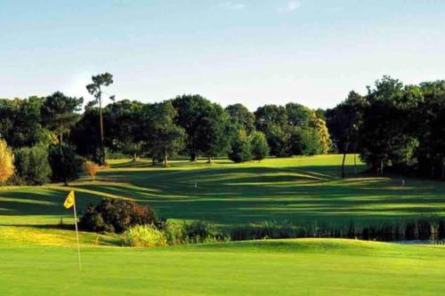 Golf pri apartmáne alebo okolí